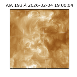 saia - 2026-02-04T19:00:04.843000