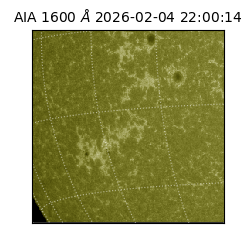 saia - 2026-02-04T22:00:14.122000