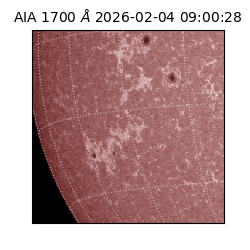 saia - 2026-02-04T09:00:28.740000