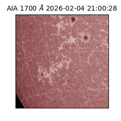 saia - 2026-02-04T21:00:28.742000