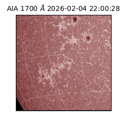 saia - 2026-02-04T22:00:28.721000