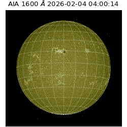 saia - 2026-02-04T04:00:14.126000