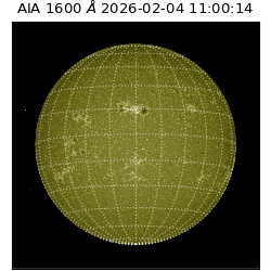 saia - 2026-02-04T11:00:14.133000