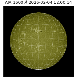 saia - 2026-02-04T12:00:14.130000