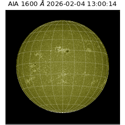 saia - 2026-02-04T13:00:14.118000