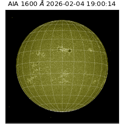 saia - 2026-02-04T19:00:14.132000