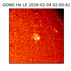 gong - 2026-02-04T02:00:42