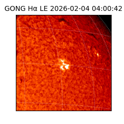 gong - 2026-02-04T04:00:42