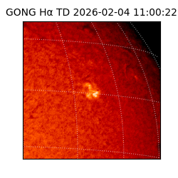 gong - 2026-02-04T11:00:22