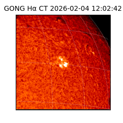 gong - 2026-02-04T12:02:42