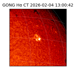 gong - 2026-02-04T13:00:42