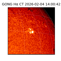 gong - 2026-02-04T14:00:42