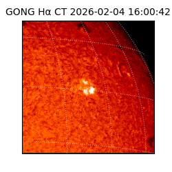 gong - 2026-02-04T16:00:42