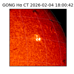 gong - 2026-02-04T18:00:42