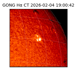 gong - 2026-02-04T19:00:42