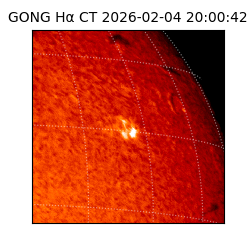 gong - 2026-02-04T20:00:42
