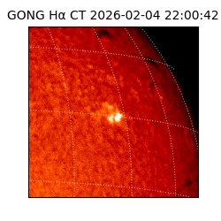 gong - 2026-02-04T22:00:42