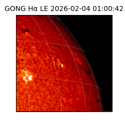 gong - 2026-02-04T01:00:42