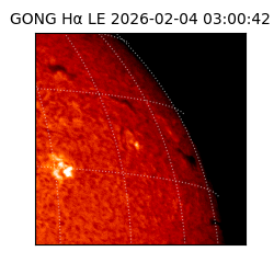 gong - 2026-02-04T03:00:42