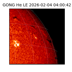 gong - 2026-02-04T04:00:42