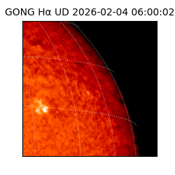 gong - 2026-02-04T06:00:02