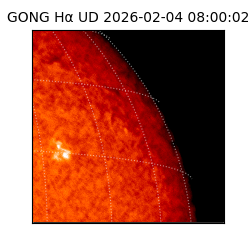 gong - 2026-02-04T08:00:02