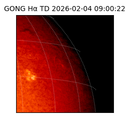 gong - 2026-02-04T09:00:22