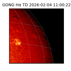 gong - 2026-02-04T11:00:22