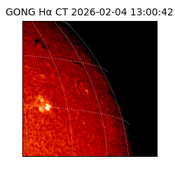 gong - 2026-02-04T13:00:42
