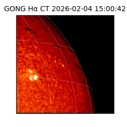 gong - 2026-02-04T15:00:42