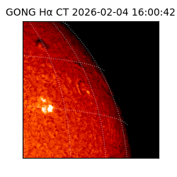 gong - 2026-02-04T16:00:42