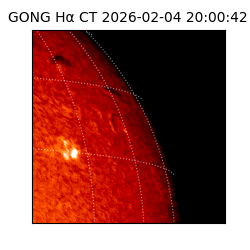gong - 2026-02-04T20:00:42