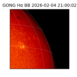 gong - 2026-02-04T21:00:02