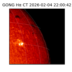 gong - 2026-02-04T22:00:42