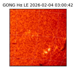 gong - 2026-02-04T03:00:42