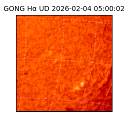 gong - 2026-02-04T05:00:02