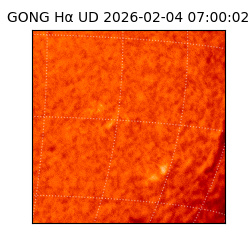 gong - 2026-02-04T07:00:02