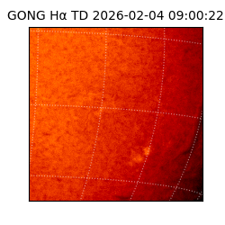 gong - 2026-02-04T09:00:22