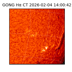 gong - 2026-02-04T14:00:42