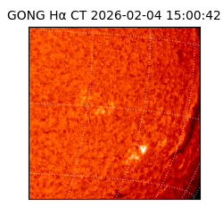 gong - 2026-02-04T15:00:42