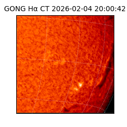 gong - 2026-02-04T20:00:42
