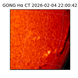 gong - 2026-02-04T22:00:42