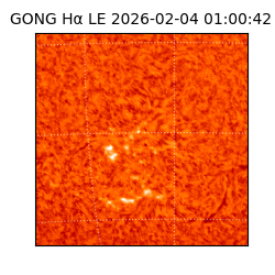 gong - 2026-02-04T01:00:42