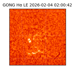 gong - 2026-02-04T02:00:42