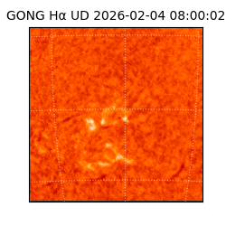 gong - 2026-02-04T08:00:02