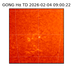 gong - 2026-02-04T09:00:22