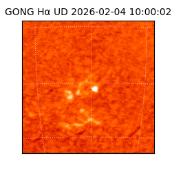 gong - 2026-02-04T10:00:02