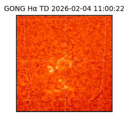 gong - 2026-02-04T11:00:22