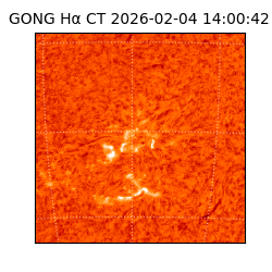 gong - 2026-02-04T14:00:42