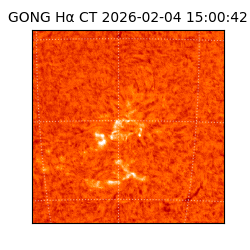 gong - 2026-02-04T15:00:42